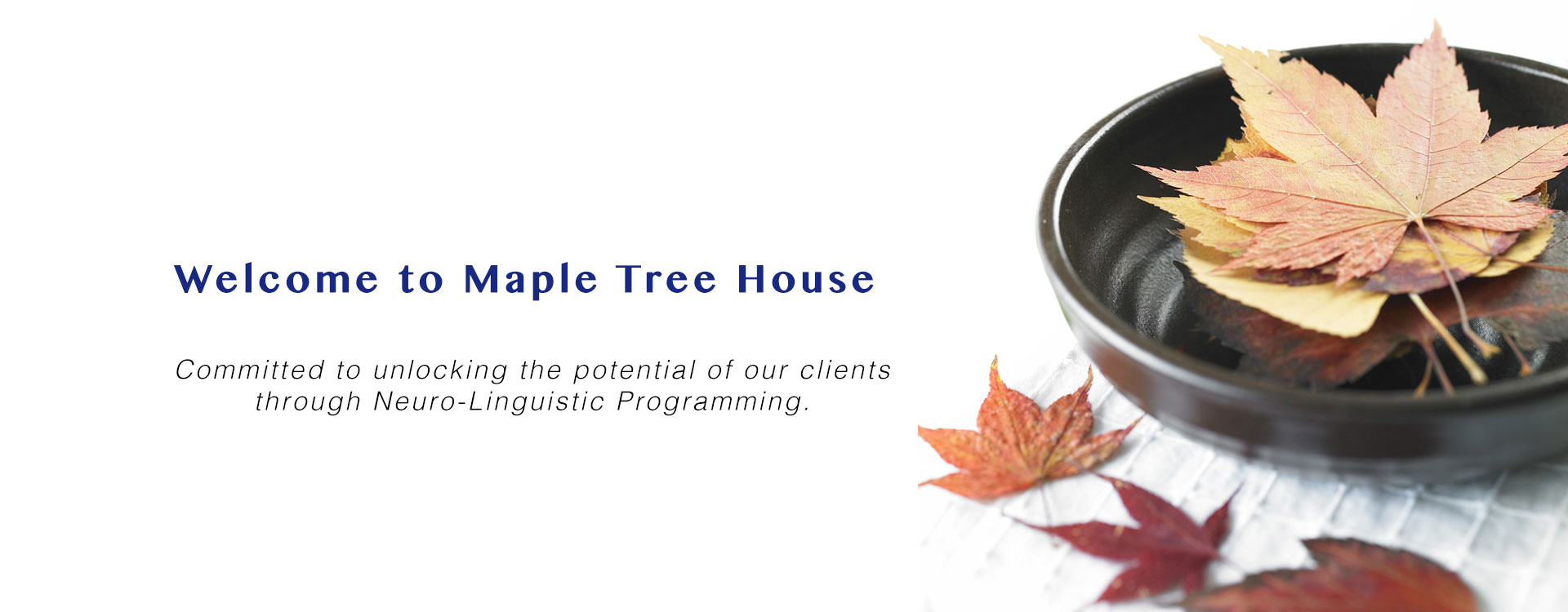 Maple Tree House Coaching NLP Training